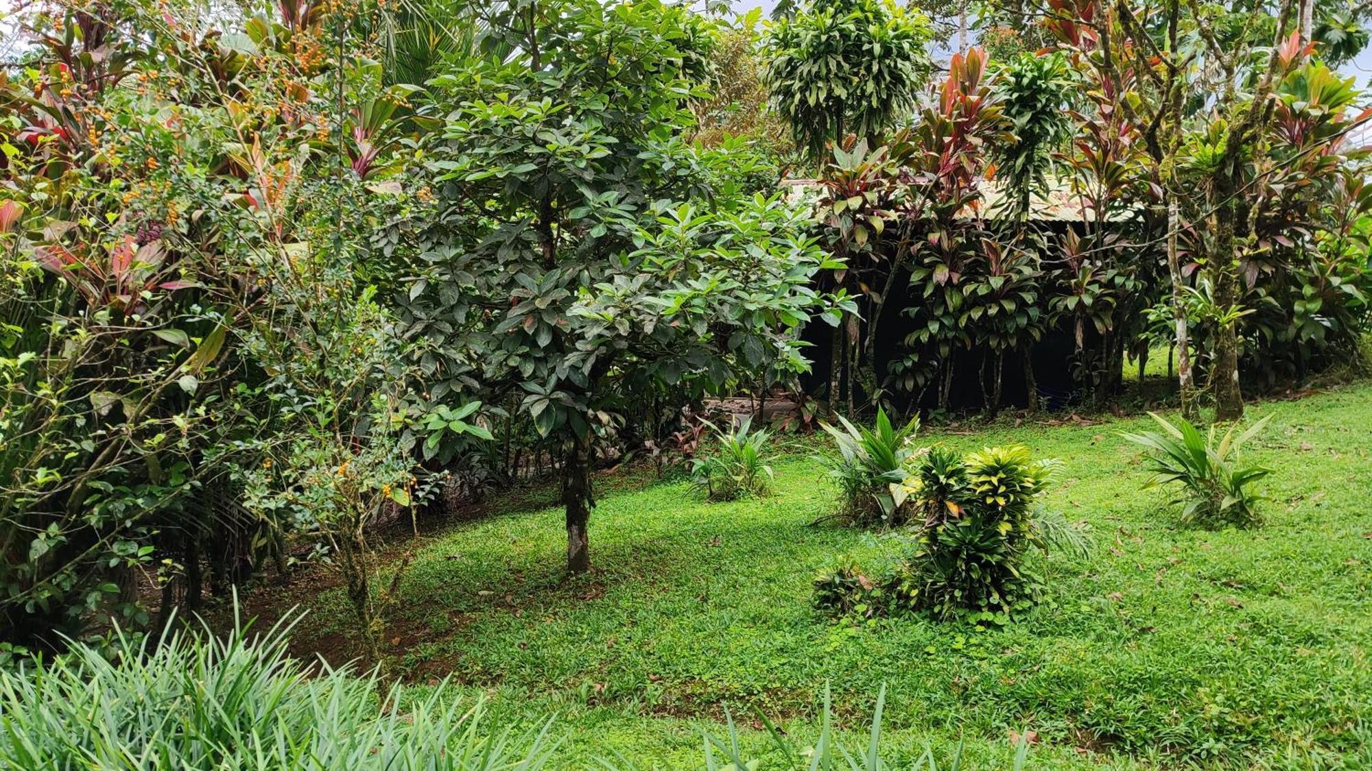 Río Celeste Nature View Upala Habitación foto